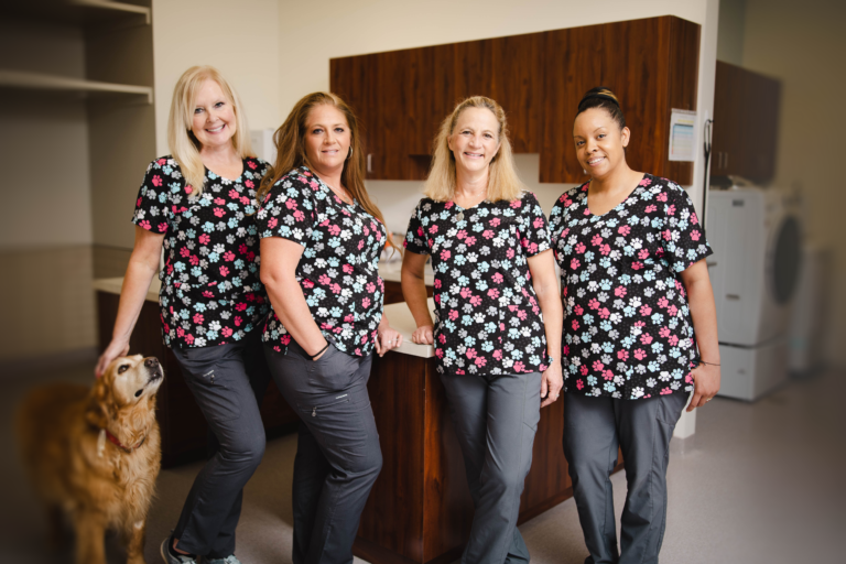 Dog Veterinary Care Five Forks Animal Clinic